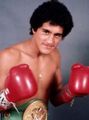 Salvador Sanchez.jpg
