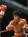 Salvador Sanchez .6548.jpg