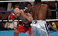 Samuel Peter vs. Jeremy Williams.03.jpg