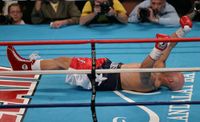 File:Samuel Peter vs. Jeremy Williams.05.jpg