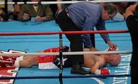 File:Samuel Peter vs. Jeremy Williams.07.jpg