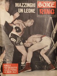 File:Sandro Mazzinghi .80.jpg