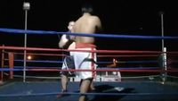 File:Saul Farah vs. Cesar Mamani 014.jpg