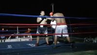 File:Saul Farah vs. Cesar Mamani 024.jpg