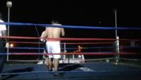 File:Saul Farah vs. Cesar Mamani 029.jpg