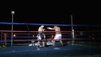 File:Saul Farah vs. Cesar Mamani 042.jpg