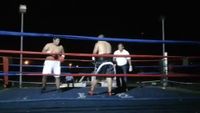 File:Saul Farah vs. Cesar Mamani 051.jpg