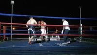 File:Saul Farah vs. Cesar Mamani 055.jpg
