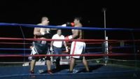 File:Saul Farah vs. Cesar Mamani 080.jpg