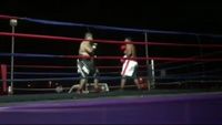 File:Saul Farah vs. Cesar Mamani 092.jpg