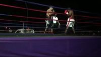 File:Saul Farah vs. Cesar Mamani 096.jpg