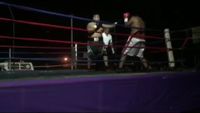 File:Saul Farah vs. Cesar Mamani 097.jpg