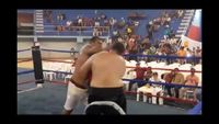 File:Saul Farah vs. Rosendo Mercado 031.jpg