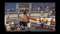 File:Saul Farah vs. Rosendo Mercado 045.jpg