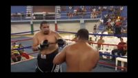 File:Saul Farah vs. Rosendo Mercado 128.jpg