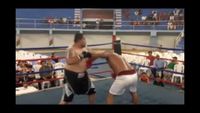File:Saul Farah vs. Rosendo Mercado 133.jpg
