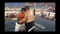 File:Saul Farah vs. Rosendo Mercado 138.jpg