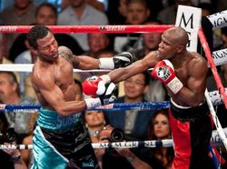Scaled-mayweather-vs-mosley-8368 t653.jpg