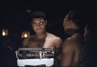 File:Scales Ali.jpg