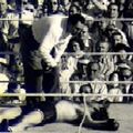 Schmeling Max--referee.jpg