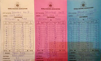 File:Scorecards.jpg