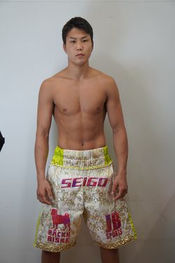 Seigo Hanamori.jpg