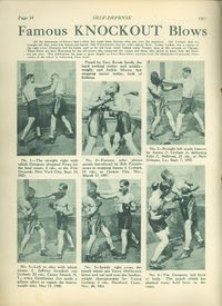 File:SelfDefense27.jpg