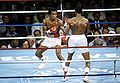Sept161981.jpg
