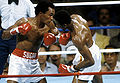 Sept16198111.jpg
