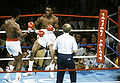 Sept1619812.jpg