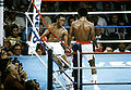 Sept1619816.jpg