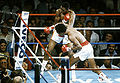 Sept1619817.jpg
