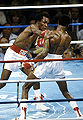 Sept1619819.jpg