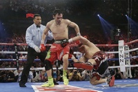 File:Sergio Martinez vs J C Chavez JR 1.jpg