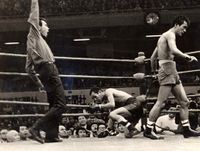 File:Shozo Saijo vs. Godfrey Stevens.jpg
