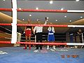 Thumbnail for version as of 11:55, 24 October 2013