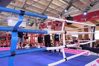 File:Siegerfoto ibrahim guemues vs turgay uzun.jpg