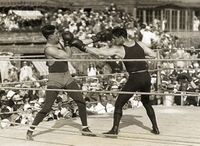 File:Sparring Jack.jpg