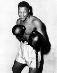 File:Spider Webb .652354.jpg