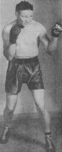 File:Spider maccallum.jpg