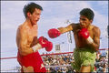 Sport-graphics-2007 713353a.jpg