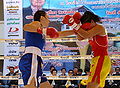 Thumbnail for version as of 03:47, 28 December 2011