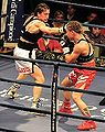 Thumbnail for version as of 03:14, 13 January 2012