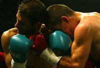 File:Stevanovic castellucci 1.jpg