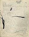 Thumbnail for version as of 23:27, 23 January 2011