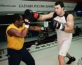 Steward Klitschko.jpg