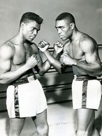 File:Stitch & Bahama.jpg