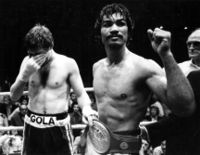 File:Stracey-vs-Carlos Palomino.jpg