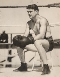 File:Strib3.JPG