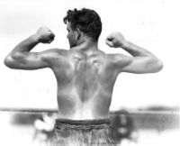 File:StriblingBack.jpg